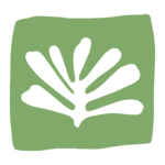 wildroots